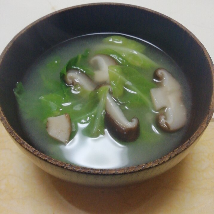 しいたけだし De 春キャベツと椎茸の麦味噌汁 レシピ 作り方 By イク9110 楽天レシピ しいたけだし De 春キャベツと椎茸の麦味噌汁 レシピ 作り方 By イク9110 楽天レシピ
